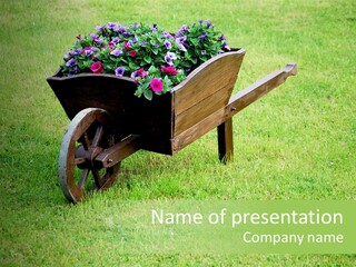 Grass Decoration Natural PowerPoint Template