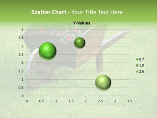 Grass Decoration Natural PowerPoint Template