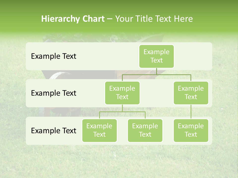 Grass Decoration Natural PowerPoint Template