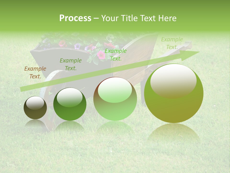 Grass Decoration Natural PowerPoint Template