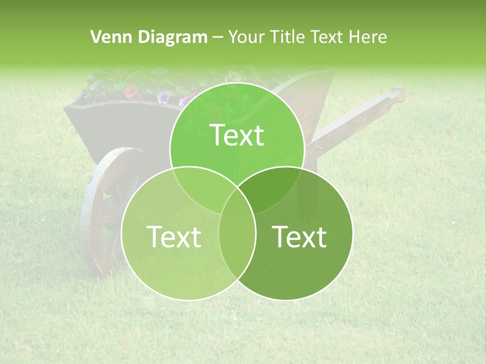 Grass Decoration Natural PowerPoint Template