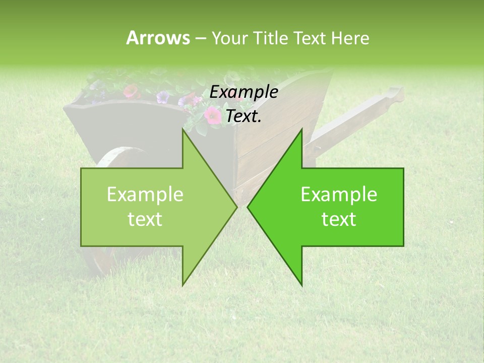 Grass Decoration Natural PowerPoint Template