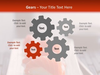 Nigiri Asia Saltwater PowerPoint Template