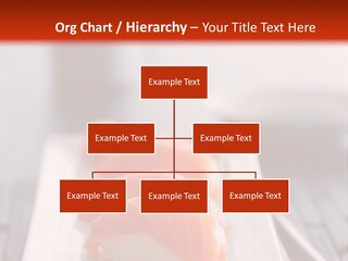 Nigiri Asia Saltwater PowerPoint Template