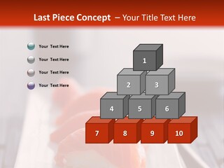 Nigiri Asia Saltwater PowerPoint Template