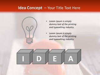 Nigiri Asia Saltwater PowerPoint Template