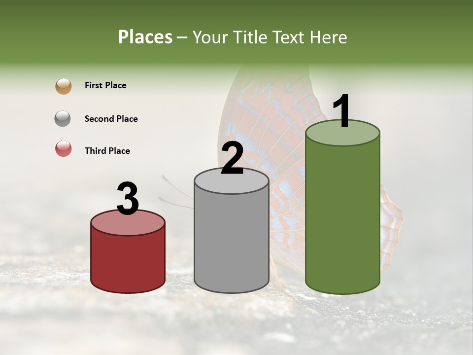 Terpander Forest Background PowerPoint Template