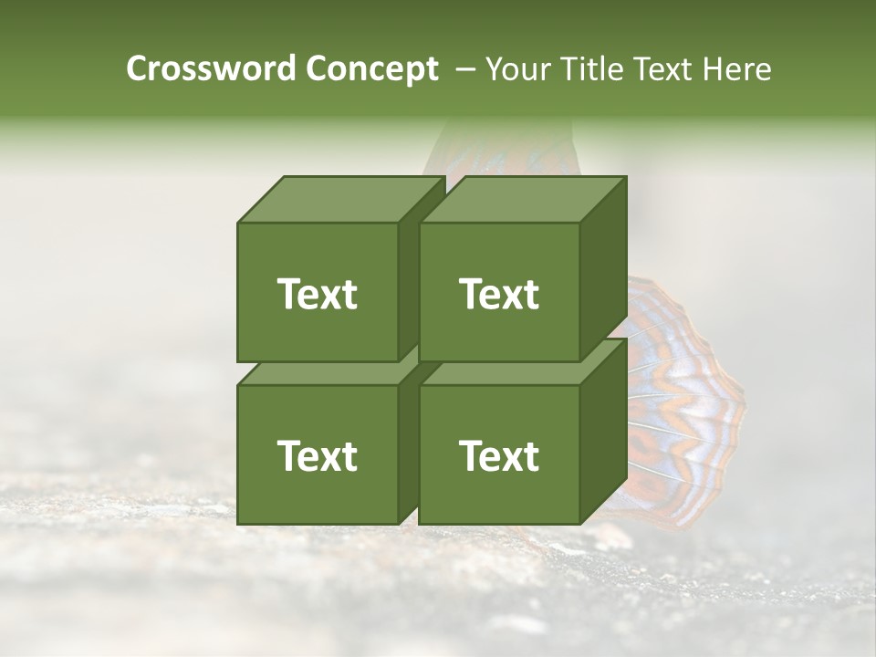 Terpander Forest Background PowerPoint Template