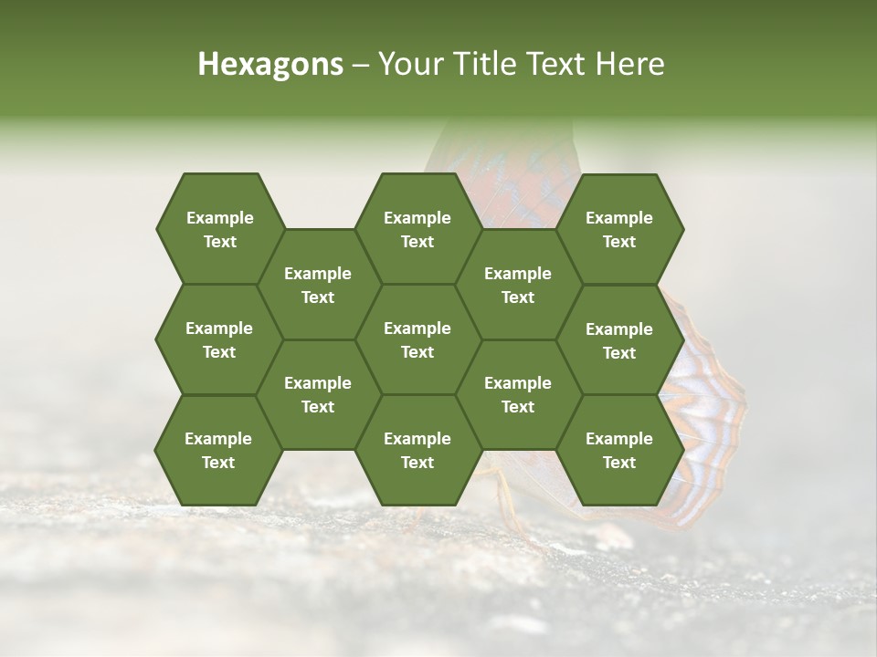 Terpander Forest Background PowerPoint Template