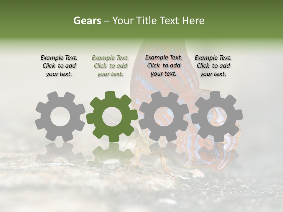 Terpander Forest Background PowerPoint Template