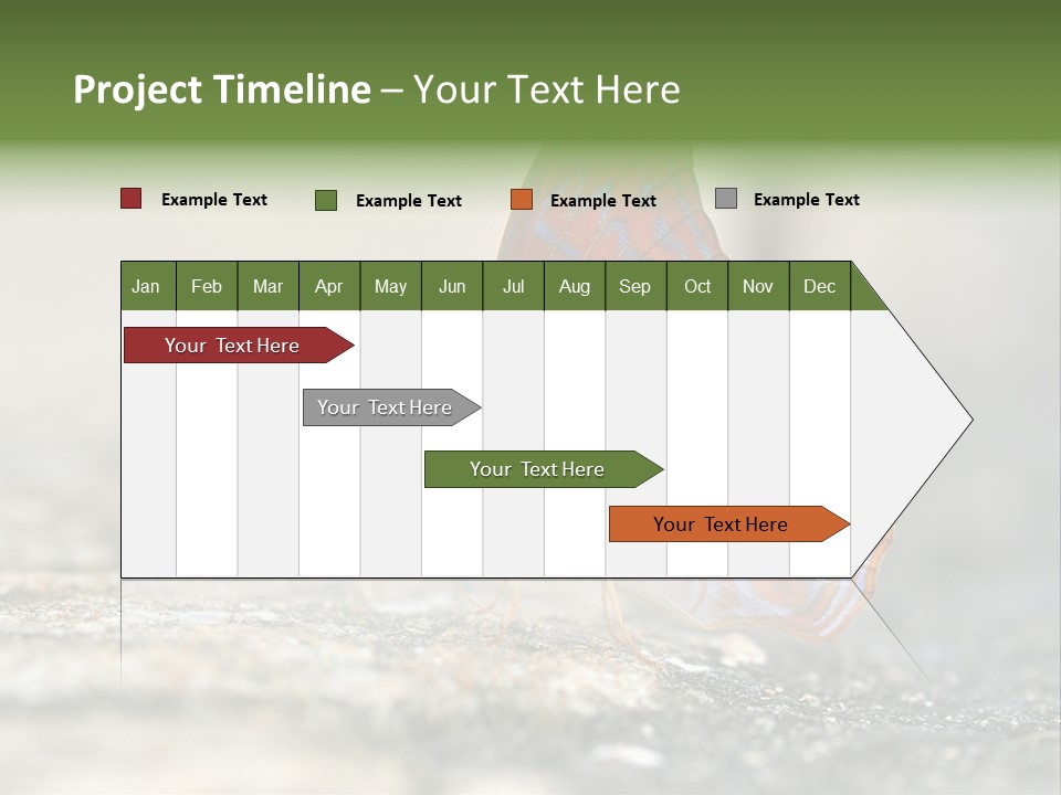 Terpander Forest Background PowerPoint Template
