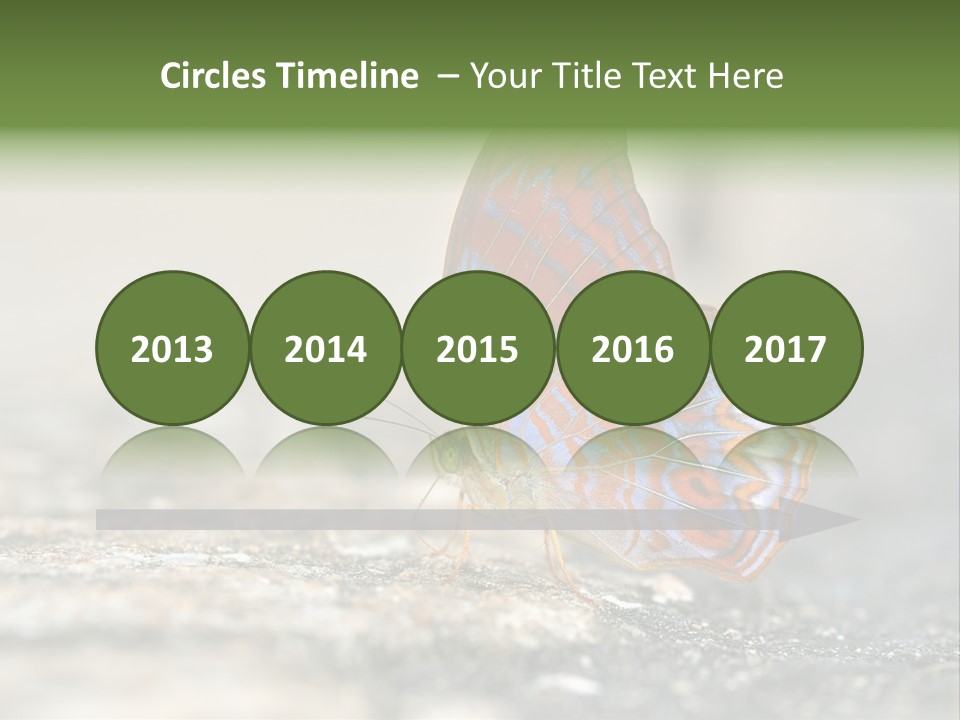 Terpander Forest Background PowerPoint Template