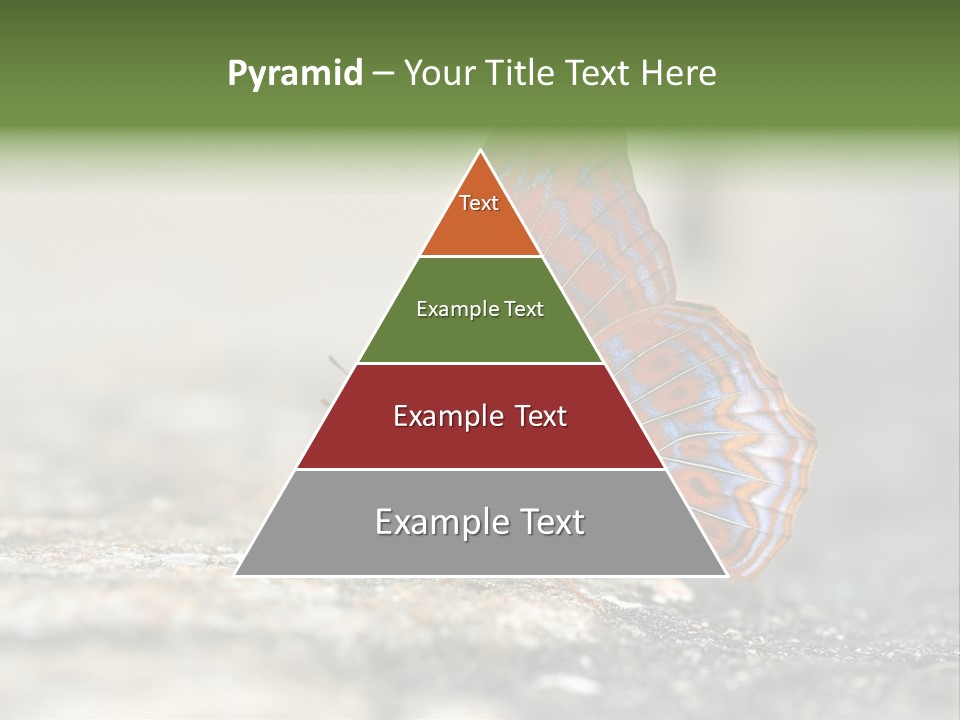 Terpander Forest Background PowerPoint Template
