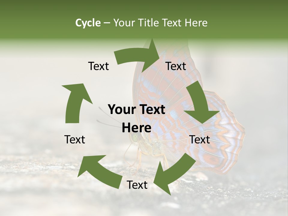 Terpander Forest Background PowerPoint Template