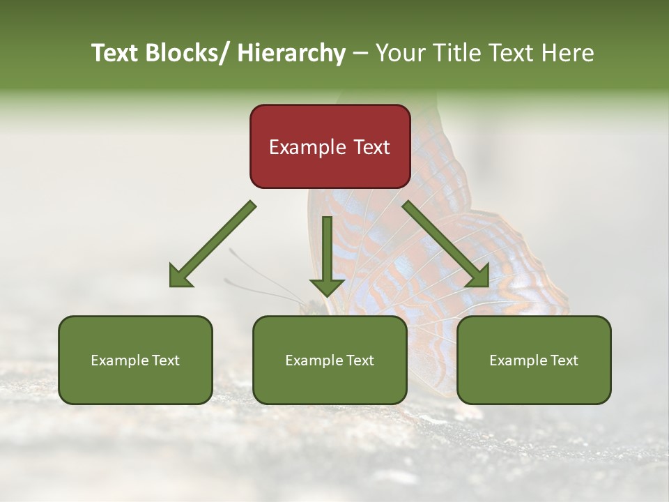 Terpander Forest Background PowerPoint Template