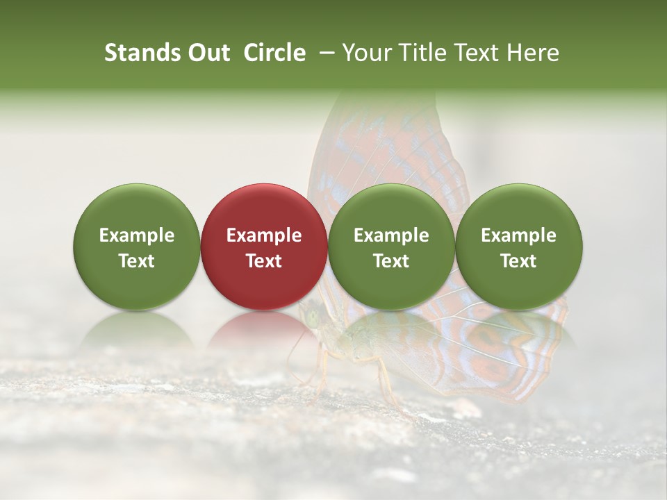 Terpander Forest Background PowerPoint Template