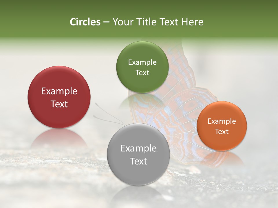 Terpander Forest Background PowerPoint Template