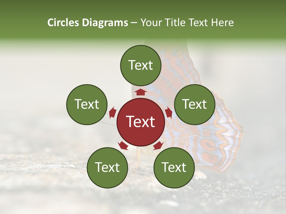 Terpander Forest Background PowerPoint Template