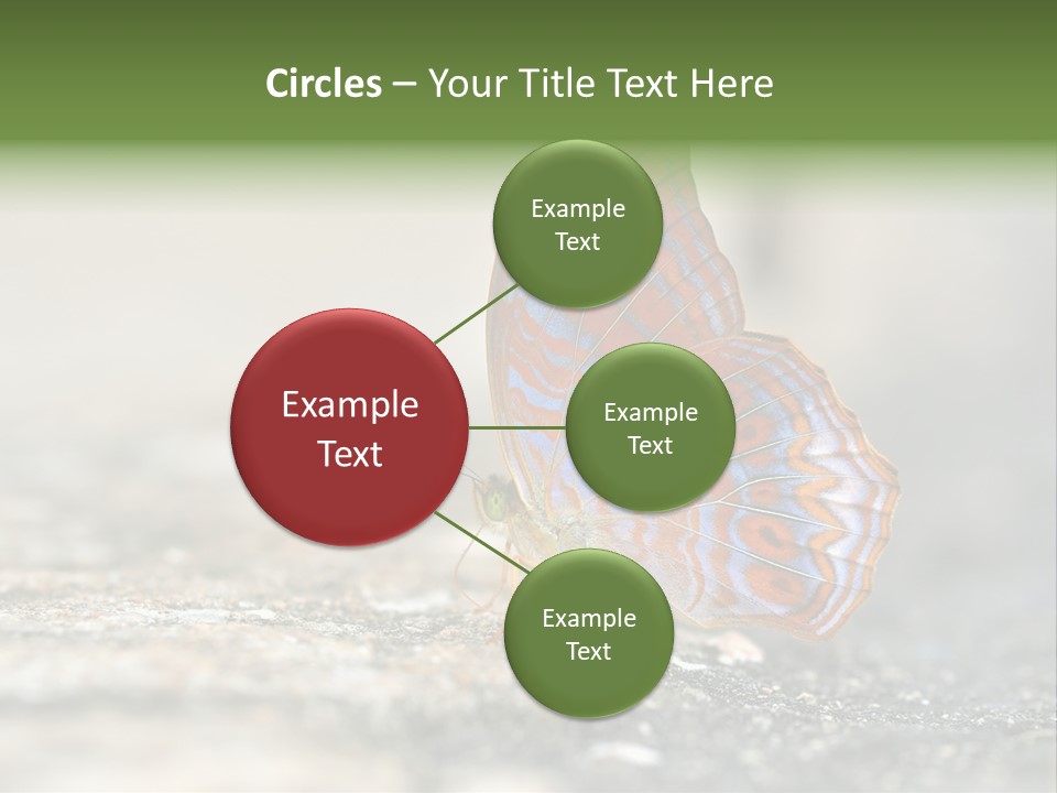 Terpander Forest Background PowerPoint Template