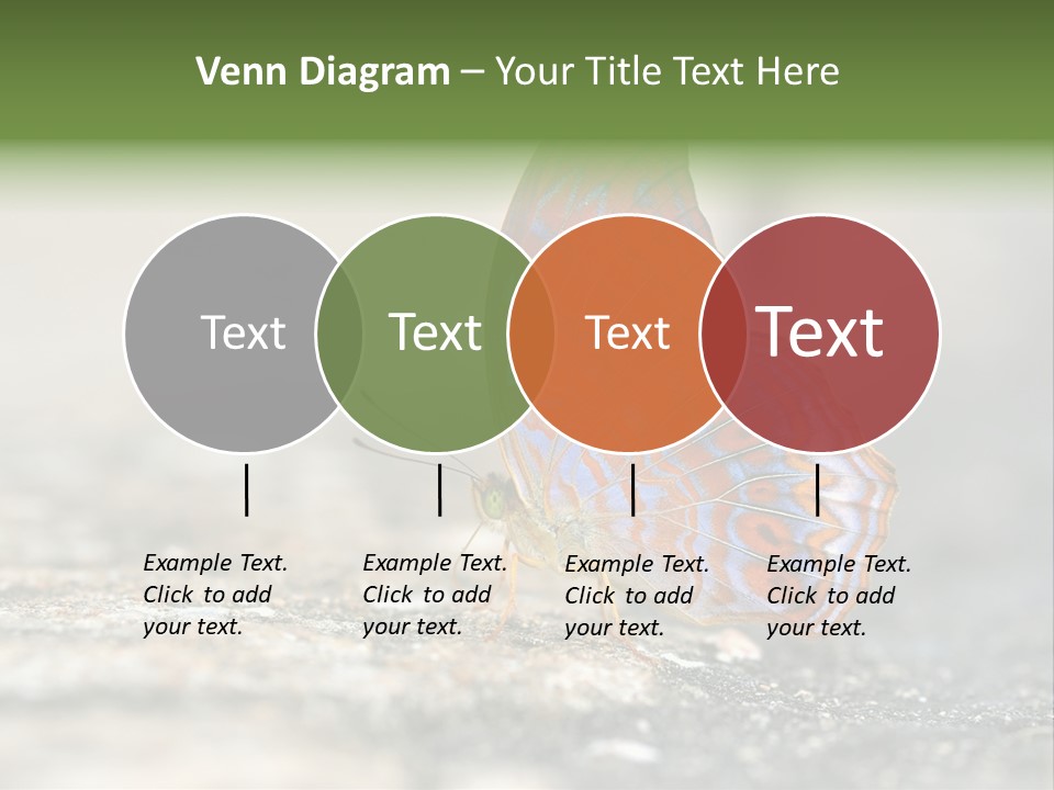Terpander Forest Background PowerPoint Template