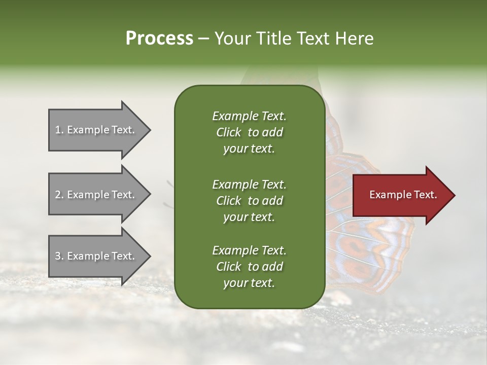 Terpander Forest Background PowerPoint Template