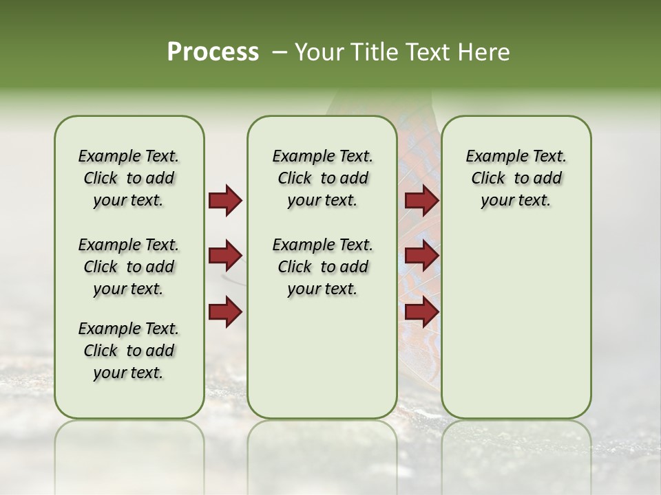 Terpander Forest Background PowerPoint Template