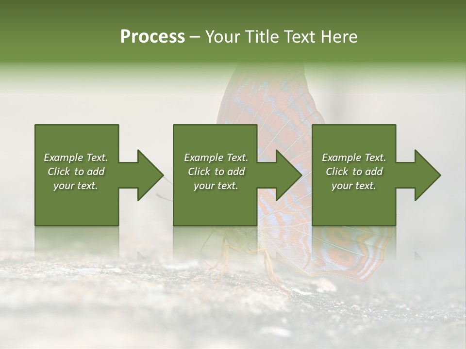 Terpander Forest Background PowerPoint Template