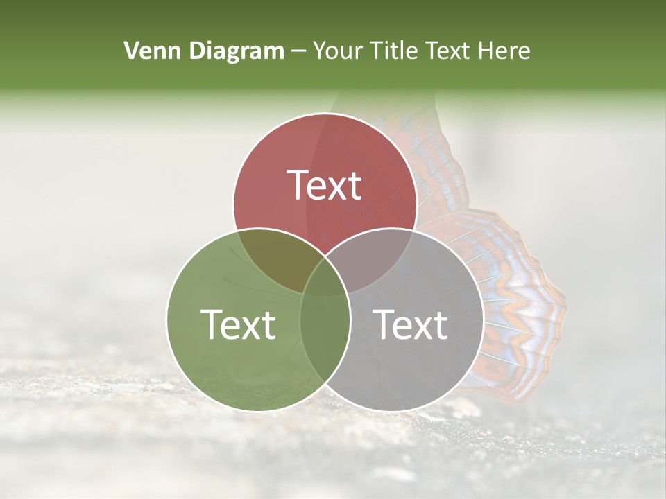 Terpander Forest Background PowerPoint Template