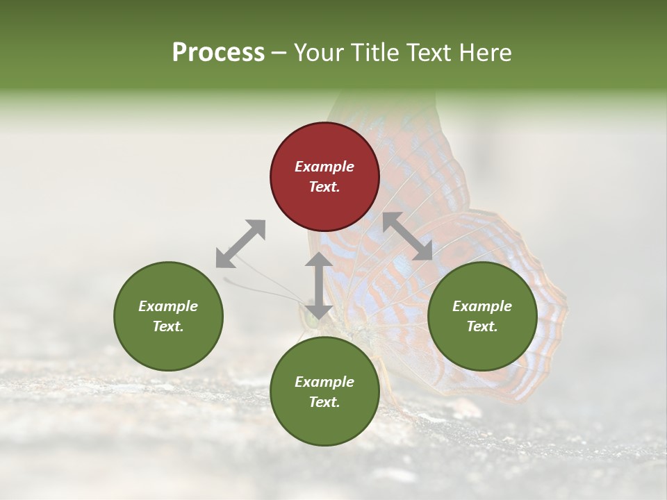 Terpander Forest Background PowerPoint Template
