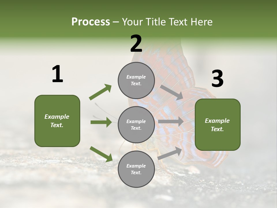 Terpander Forest Background PowerPoint Template