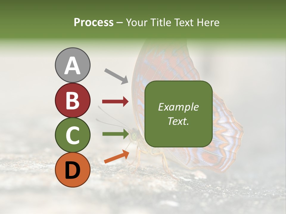 Terpander Forest Background PowerPoint Template