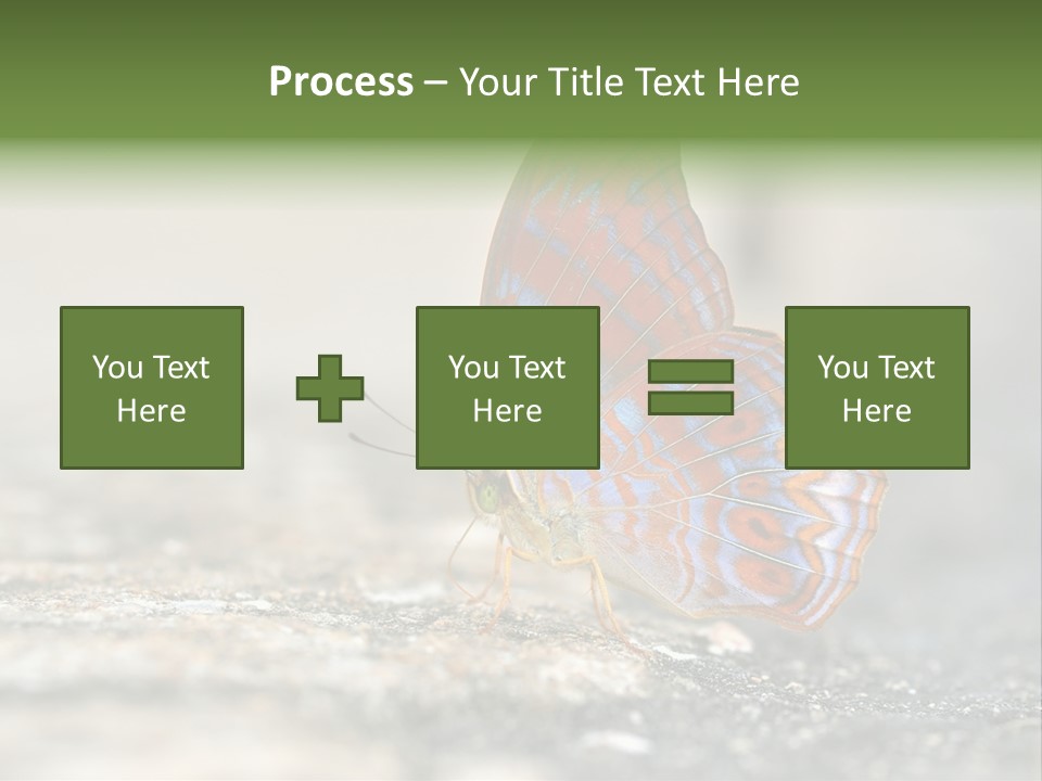 Terpander Forest Background PowerPoint Template