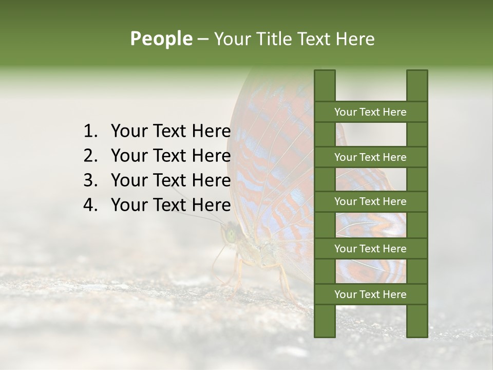 Terpander Forest Background PowerPoint Template