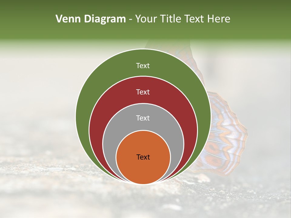 Terpander Forest Background PowerPoint Template