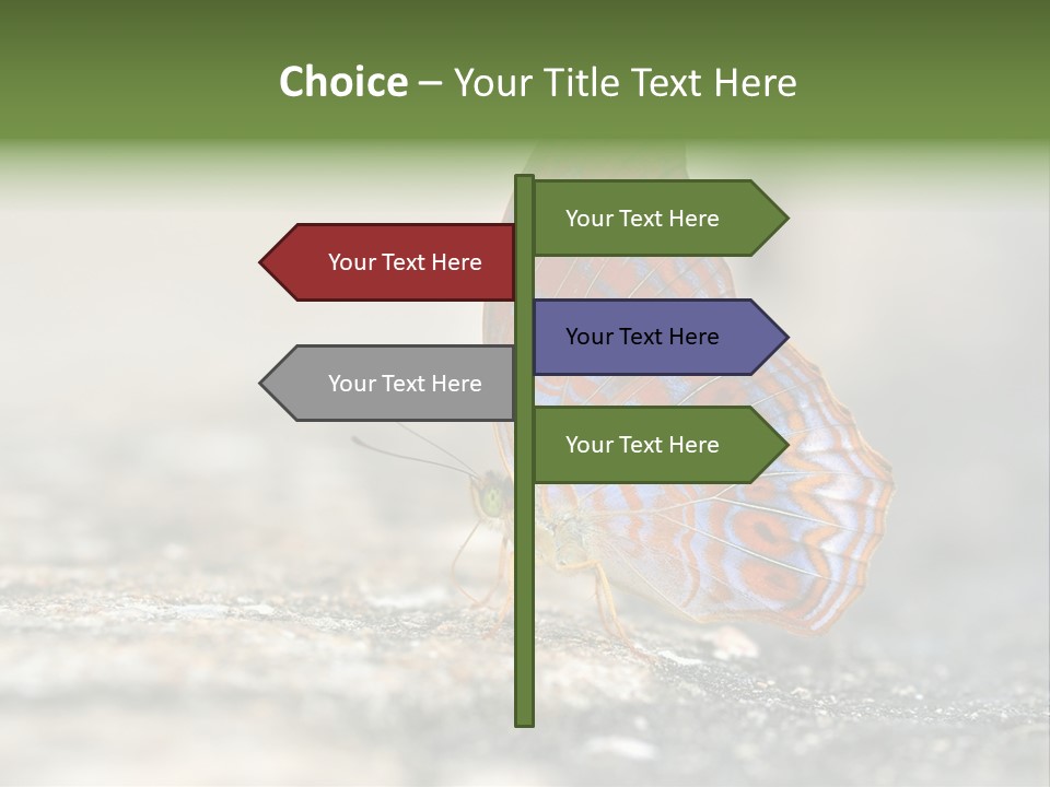 Terpander Forest Background PowerPoint Template