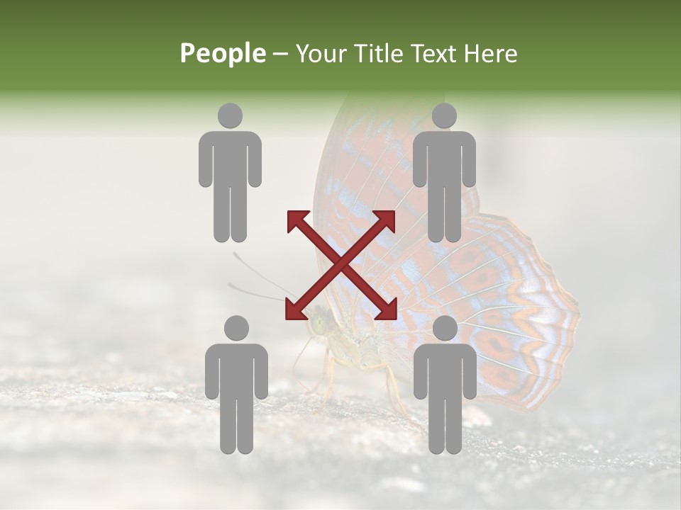 Terpander Forest Background PowerPoint Template