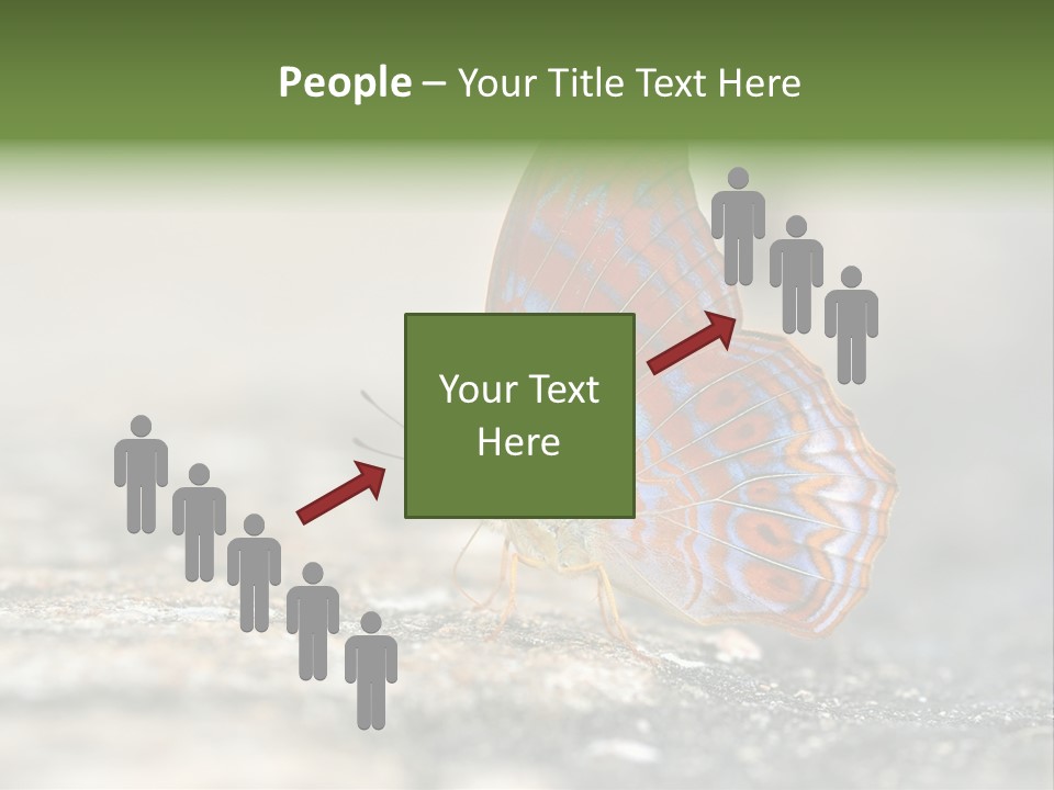 Terpander Forest Background PowerPoint Template