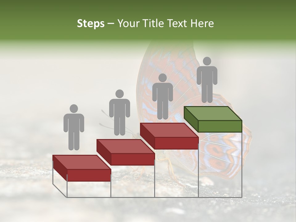 Terpander Forest Background PowerPoint Template