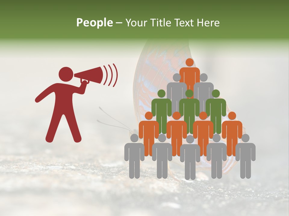 Terpander Forest Background PowerPoint Template