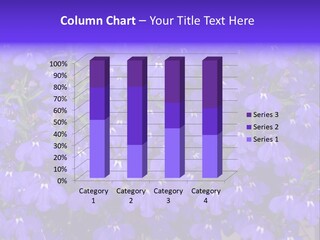 Background Garden Beauty PowerPoint Template