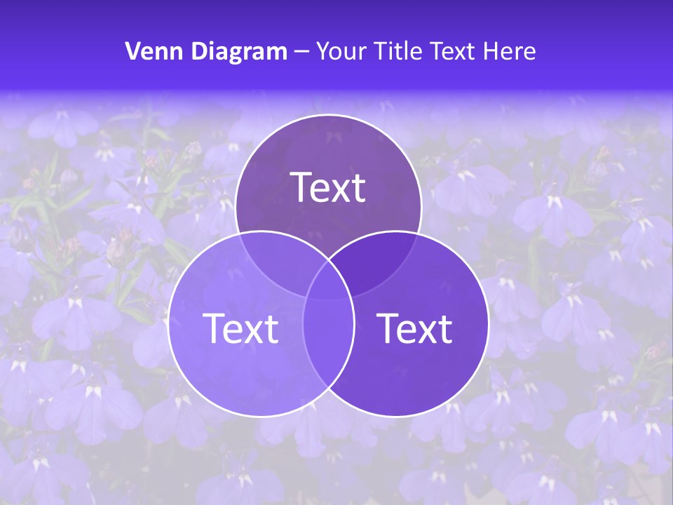 Background Garden Beauty PowerPoint Template