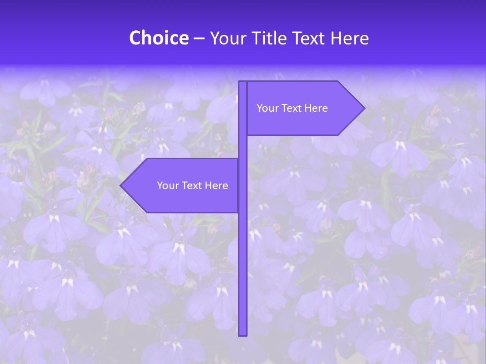 Background Garden Beauty PowerPoint Template