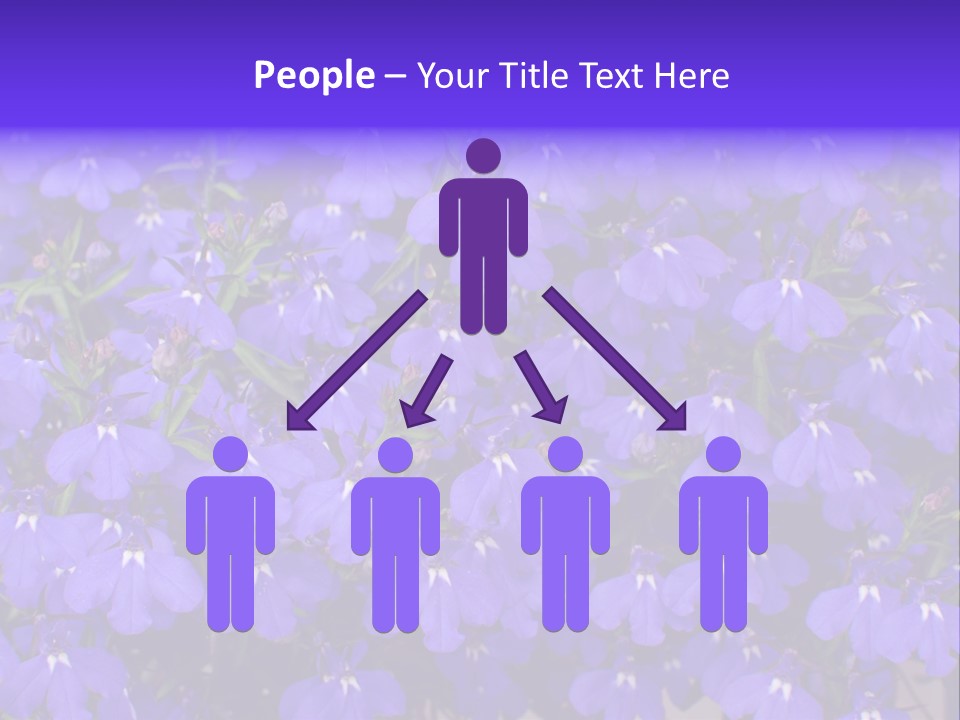 Background Garden Beauty PowerPoint Template