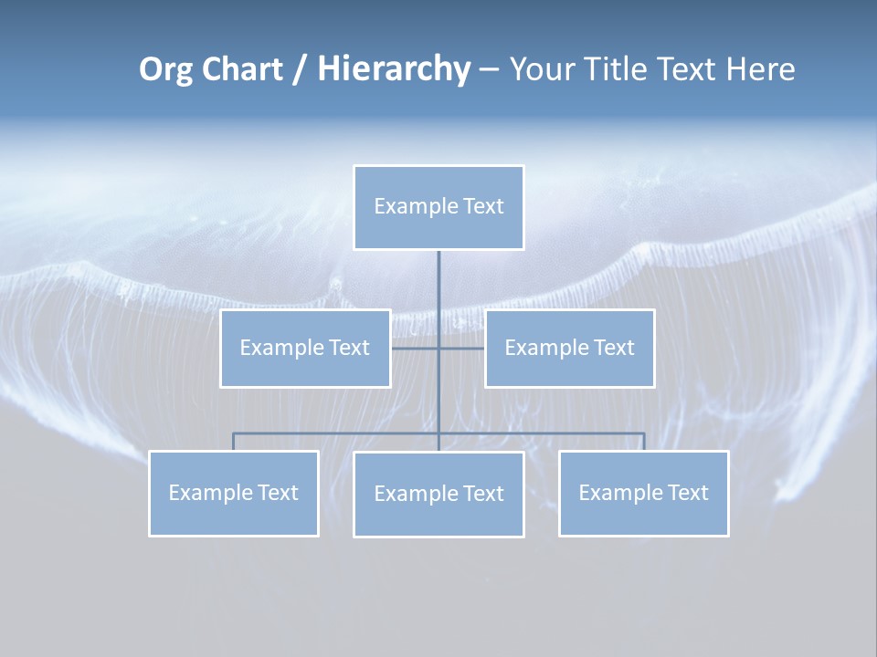 Wild Translucent Hanging PowerPoint Template