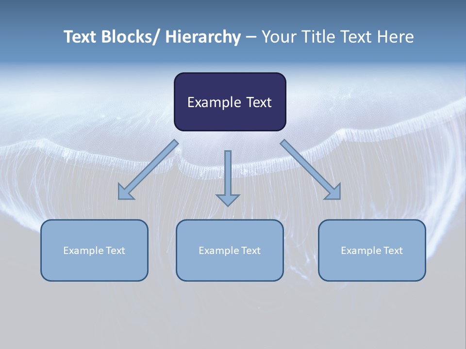 Wild Translucent Hanging PowerPoint Template