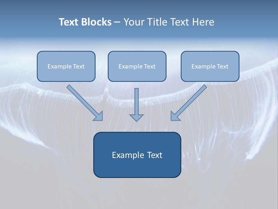 Wild Translucent Hanging PowerPoint Template