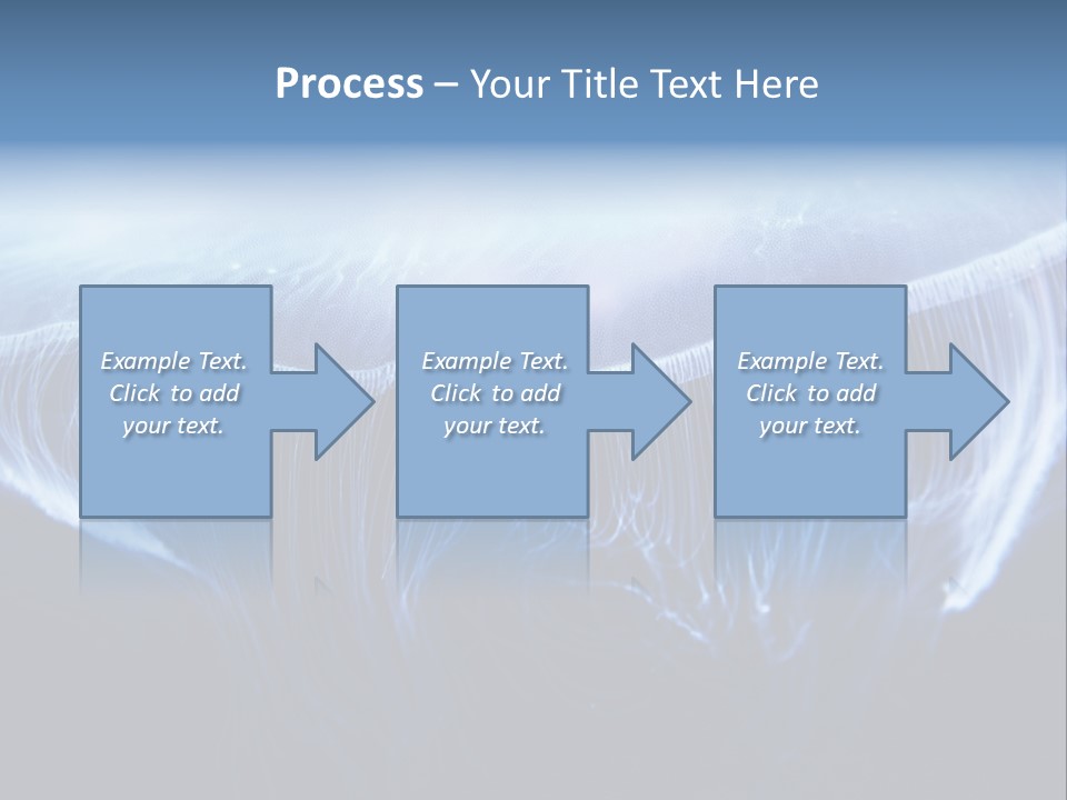 Wild Translucent Hanging PowerPoint Template
