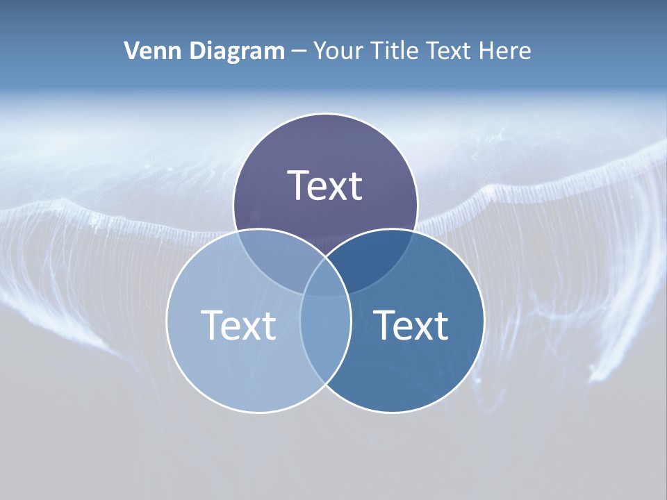 Wild Translucent Hanging PowerPoint Template