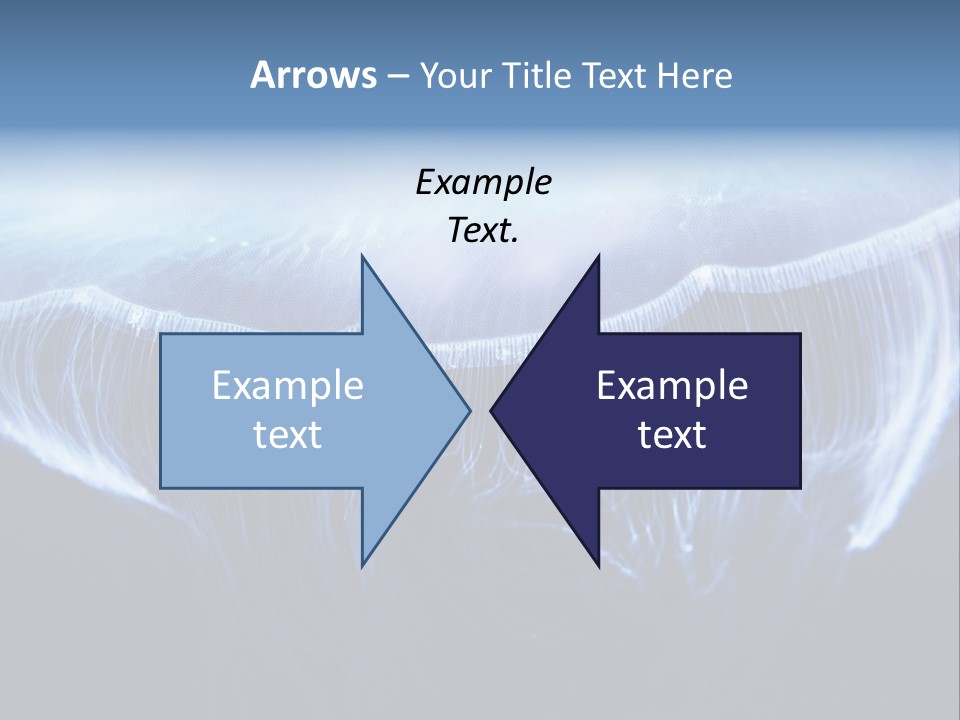 Wild Translucent Hanging PowerPoint Template