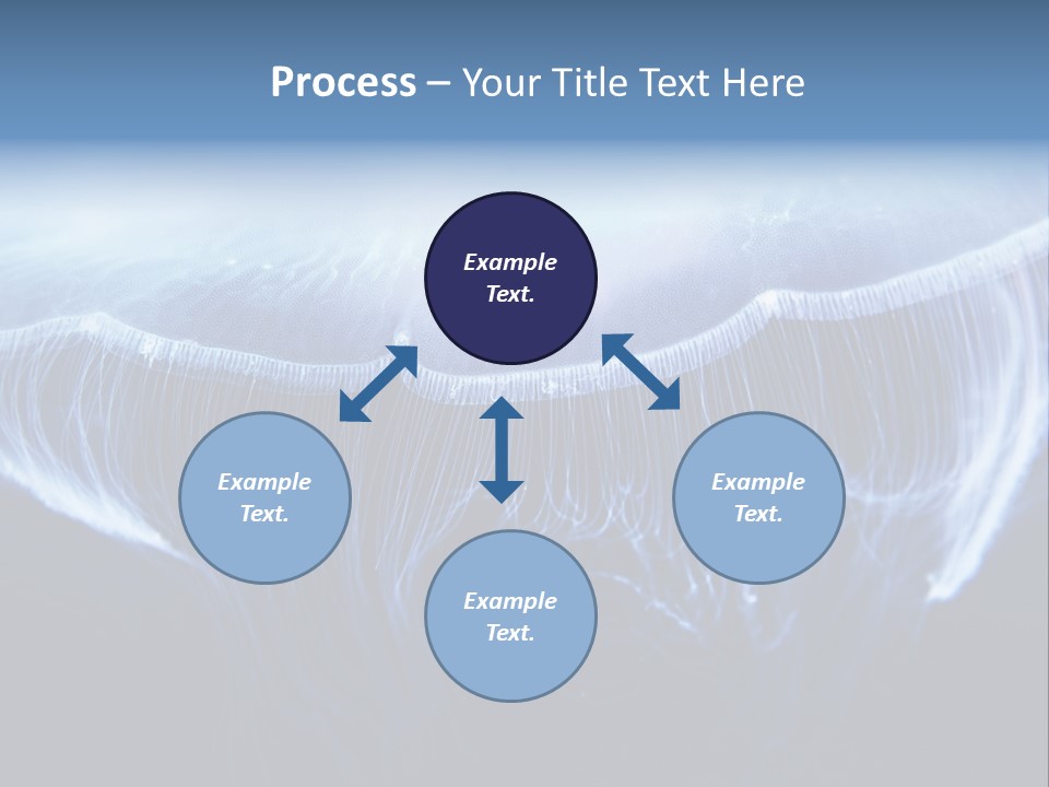 Wild Translucent Hanging PowerPoint Template